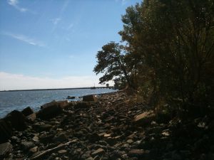Edgemere Criminal Lawyer | Criminal Defense Attorney in Edgemere Maryland