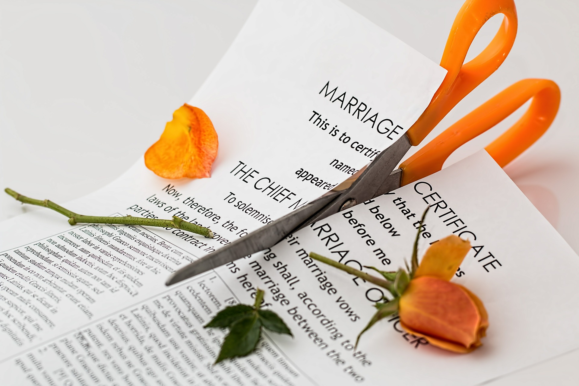 divorce agreement separation lawyer Agreements Lawyer: a Divorce Rice in Separation Maryland