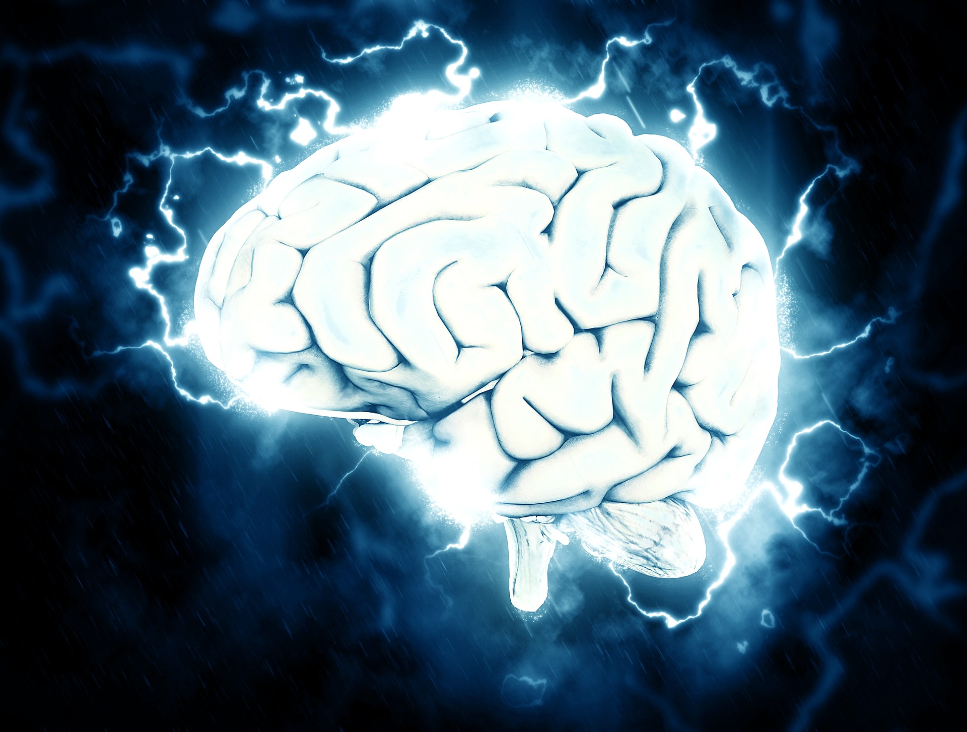 brain concussion concussion, brain, head injury, accident